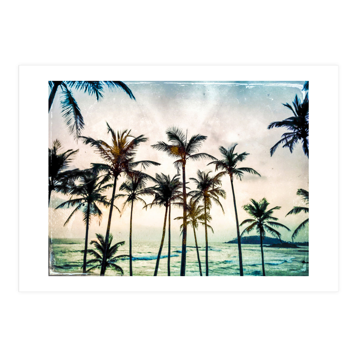No Palm Trees (Print Only)
