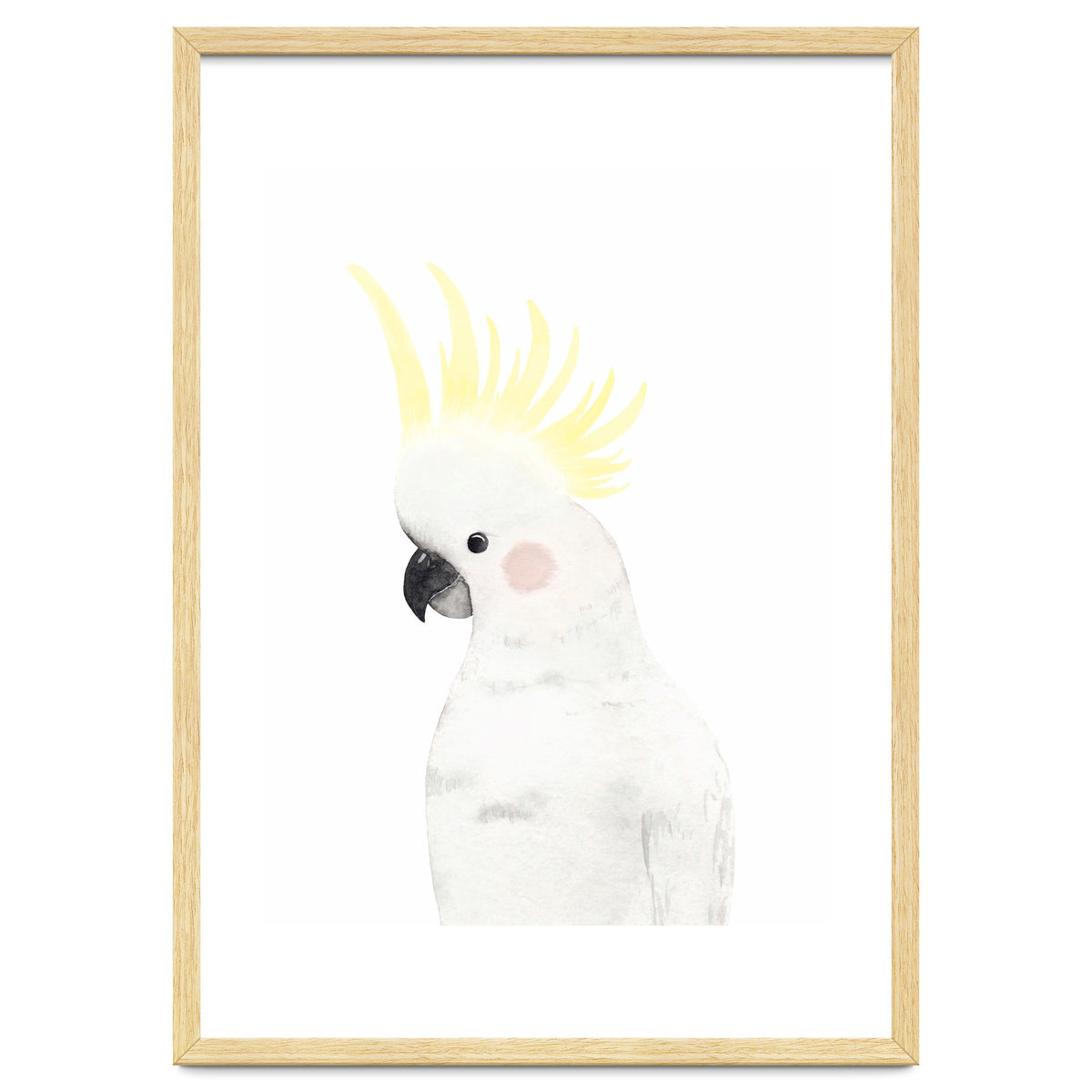 Sweet Cockatoo