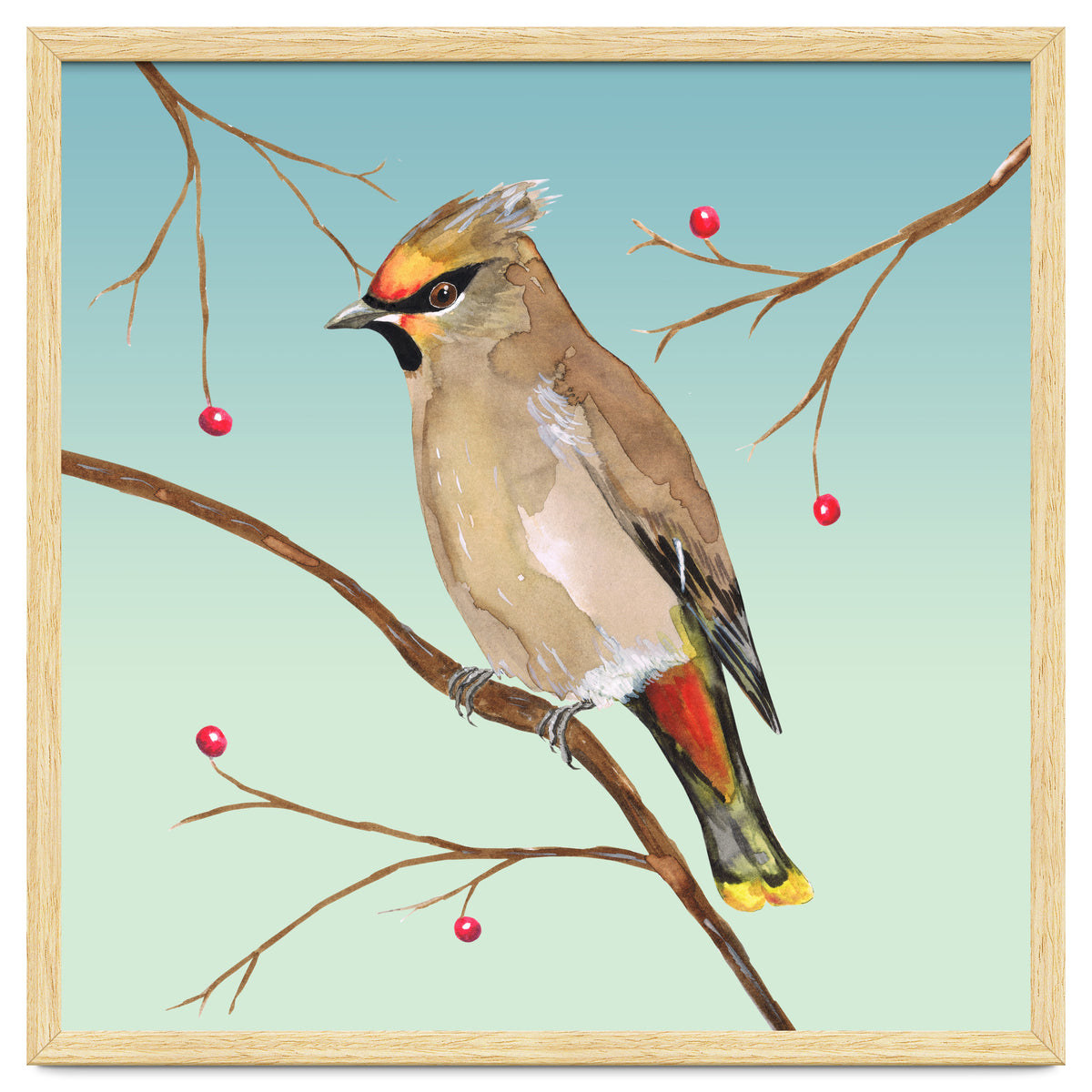 Bohemian waxwing