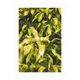Green Nature (Print Only) thumbnail