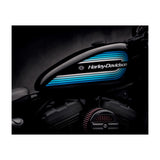 Harley Davidson Detail (Print Only) thumbnail