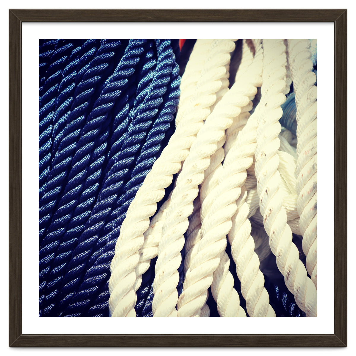 Blue and white fishing rope