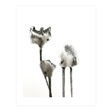 Flying Angels (Print Only) thumbnail
