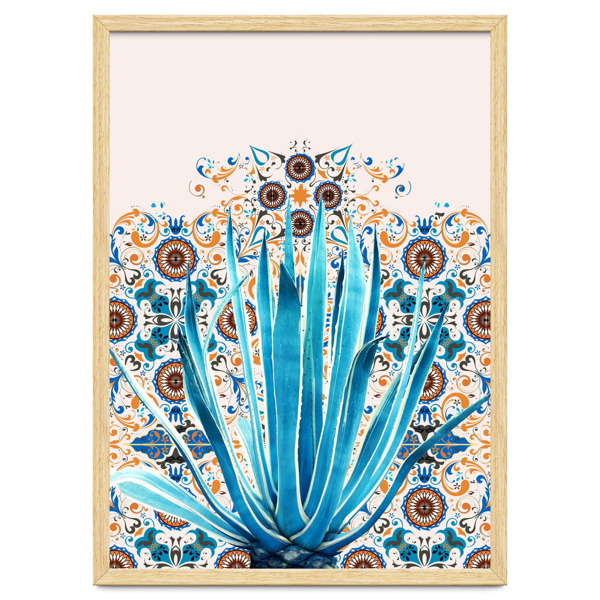 Cactus and Moroccan tiles