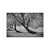Bend over (Print Only) thumbnail