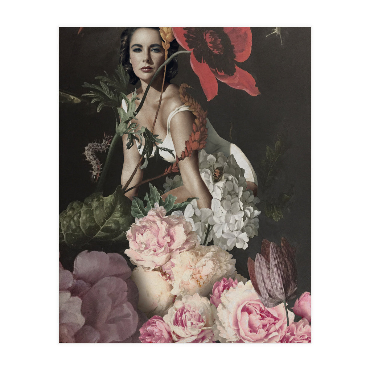 Everything In Its Right Place (Print Only)