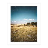 Dartmoor  (Print Only) thumbnail
