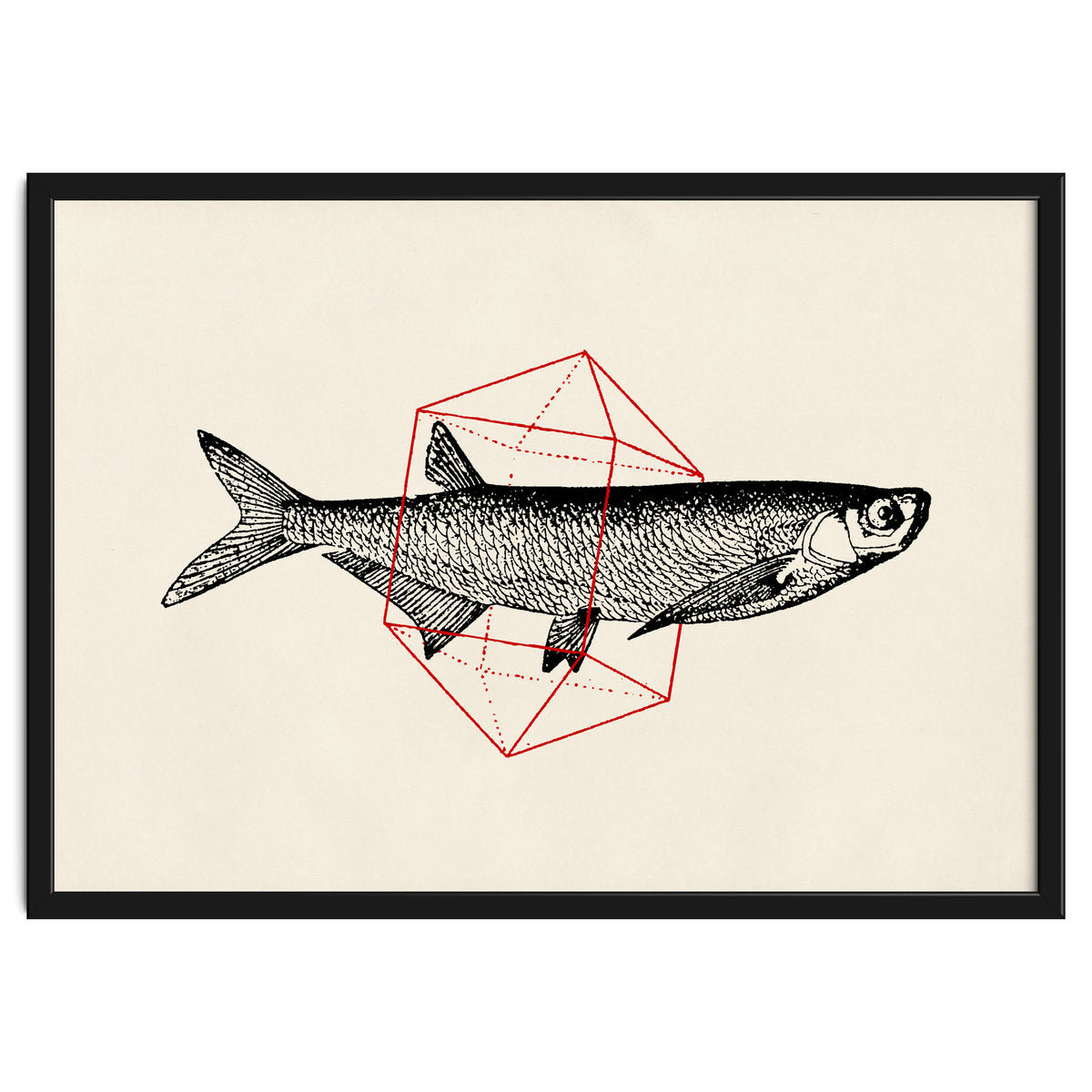 Fish In Geometrics II