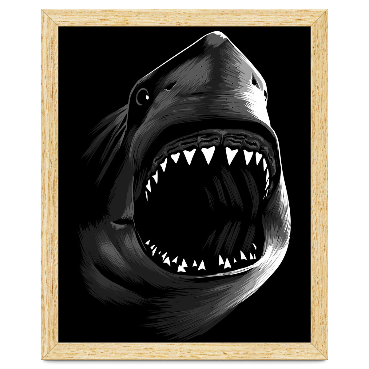 Megalodon