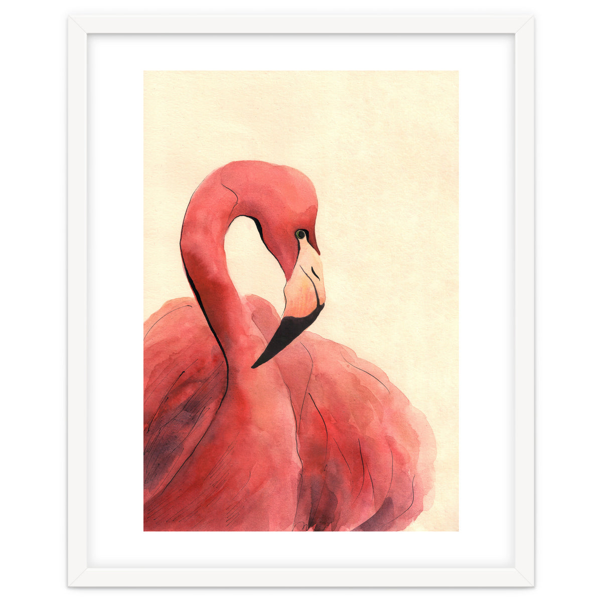 Flamingo