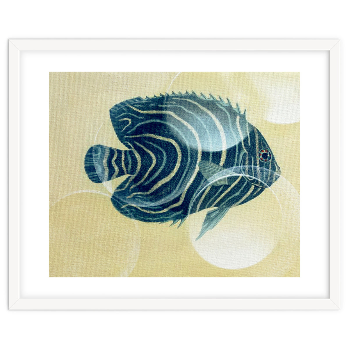 Fish Between Circles