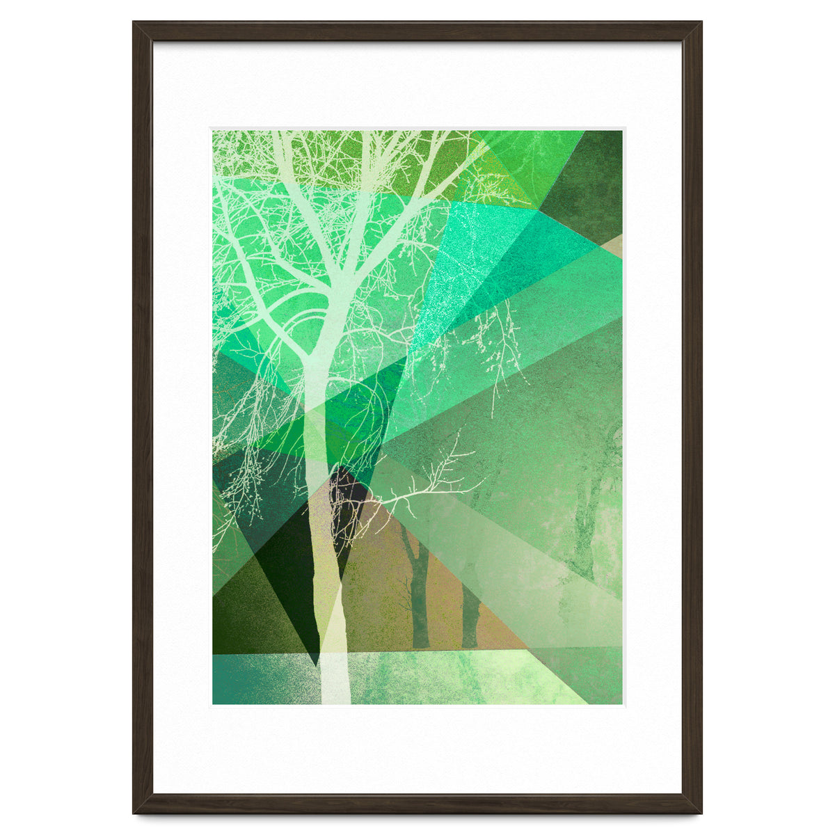 P22 B Trees And Triangles