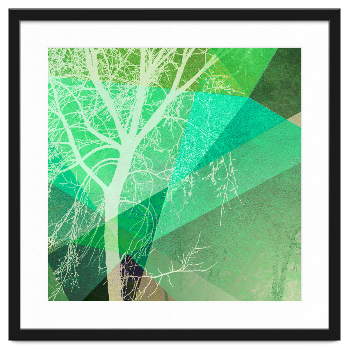 P22-B3 Trees And Triangles