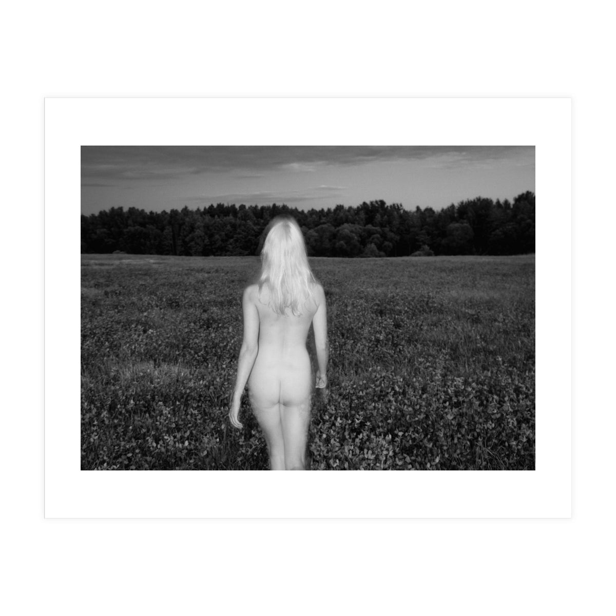 Summer Breeze (Print Only)