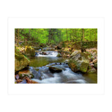 Spring At Harz Moutain (Print Only) thumbnail