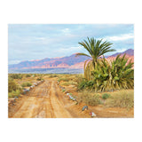 Joshua Tree (Print Only) thumbnail