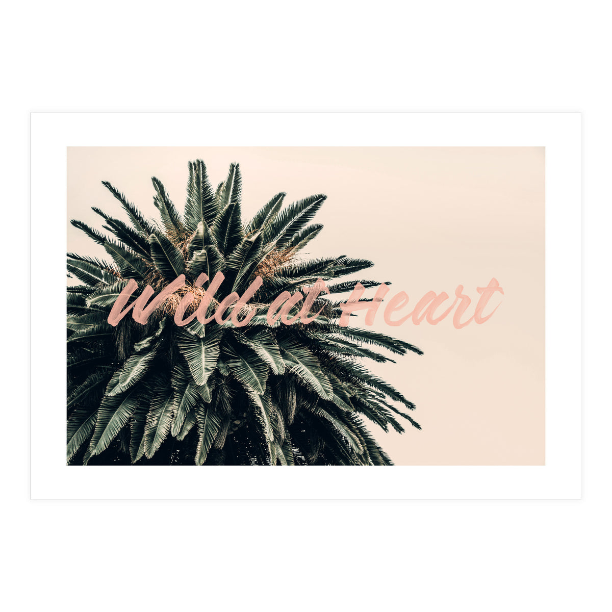 Wild At Heart (Print Only)