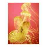 Jelly #7  (Print Only) thumbnail