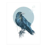 Blue Crow (Print Only)