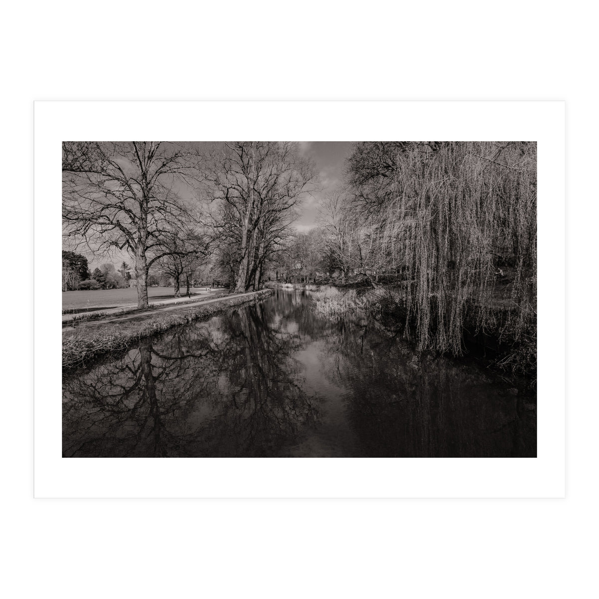 Bute Park, Cardiff  (Print Only)