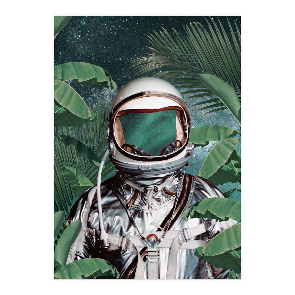 Paradise Found (Print Only)