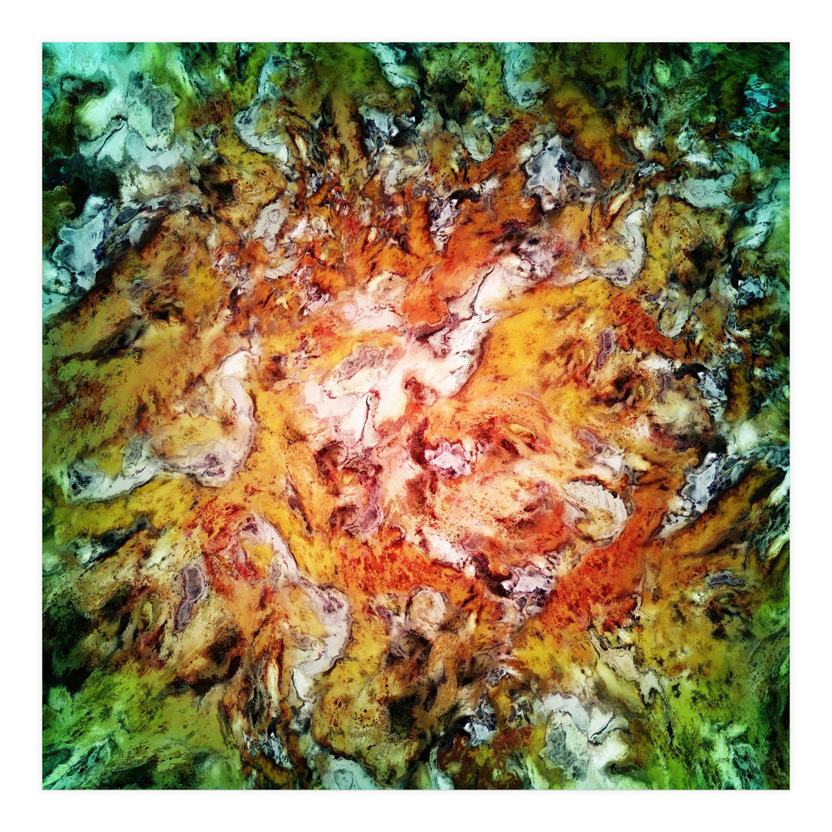 The Natural Light (Print Only)