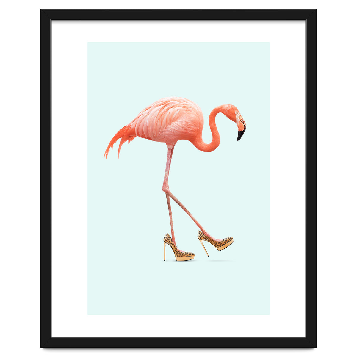 Fancy Flamingo