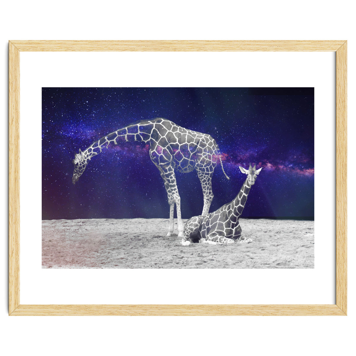 Giraffes on The Moon