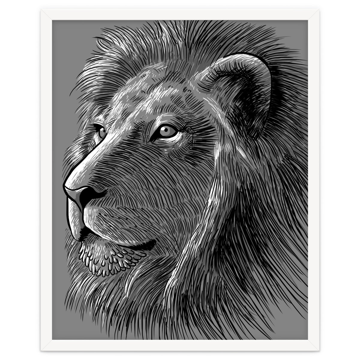 Sketch Lion