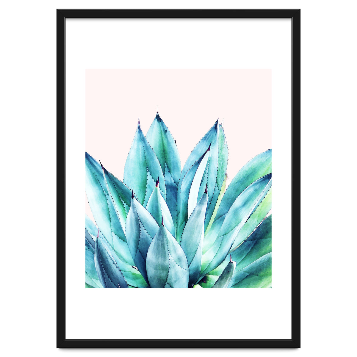 Agave Vibe