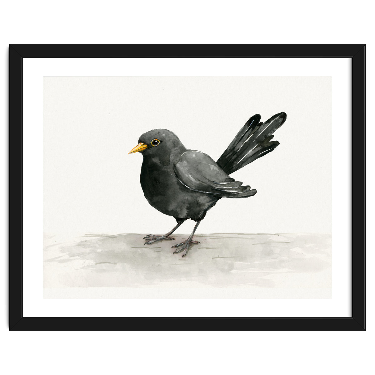 Blackbird ink drawing