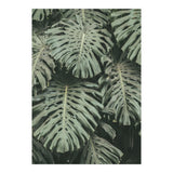 MONSTERA LEAVES (Print Only) thumbnail