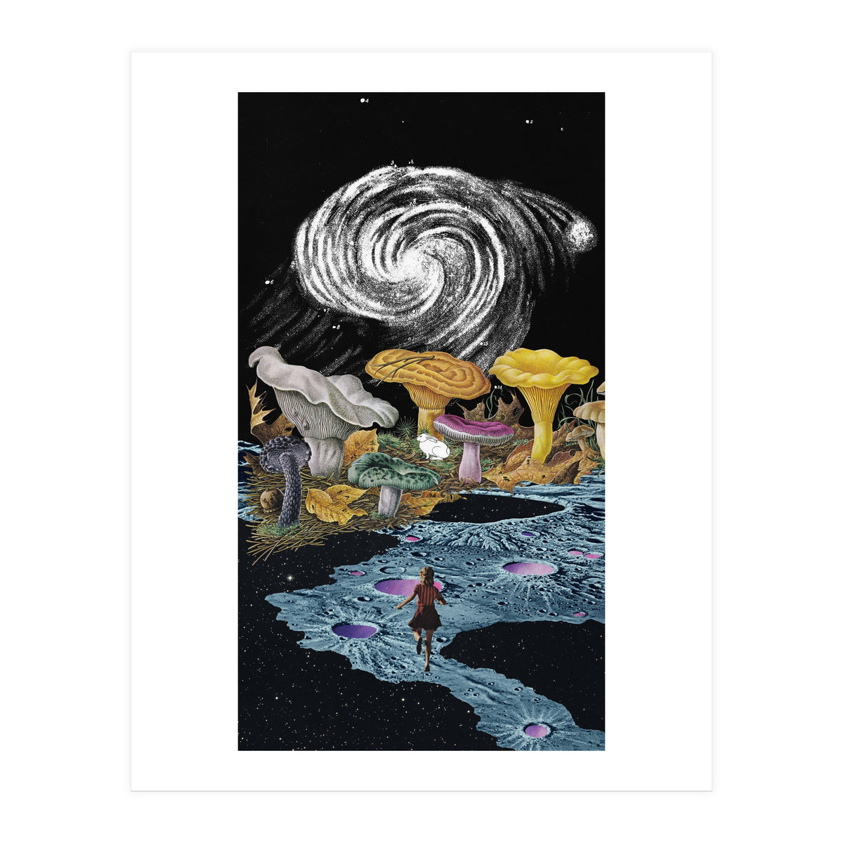 Follow The White Rabbit (Print Only)