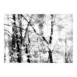 tree breeze (Print Only) thumbnail