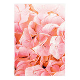 Blushing (Print Only) thumbnail