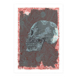 Saffron (Print Only) thumbnail
