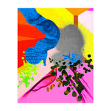 Divergent  (Print Only) thumbnail