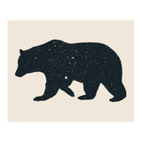 Bär (Print Only) thumbnail