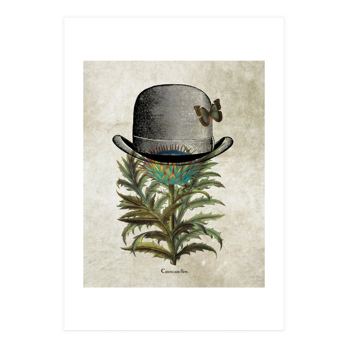 Bowler Print (Print Only)