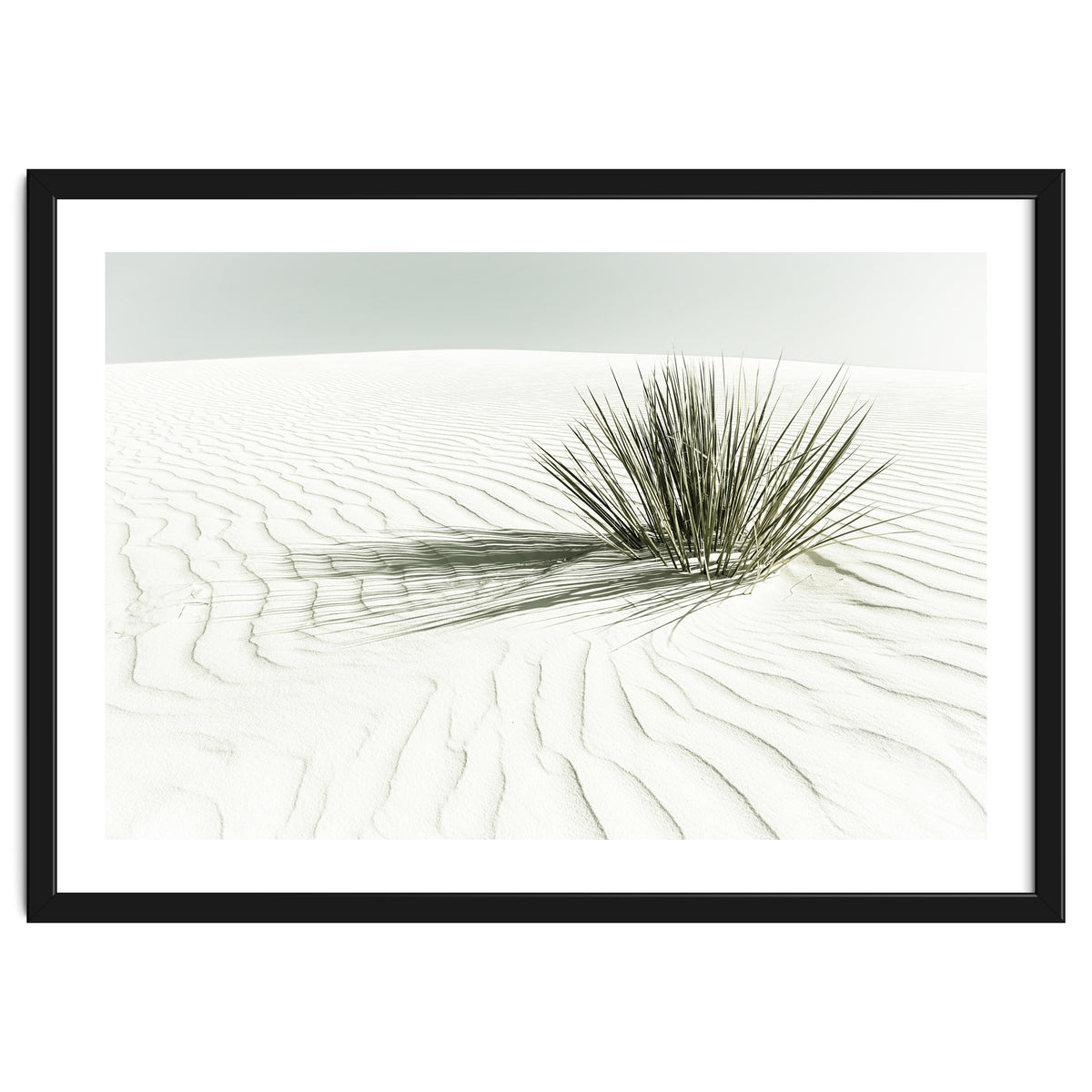 WHITE SANDS Idyllic scenery | Vintage