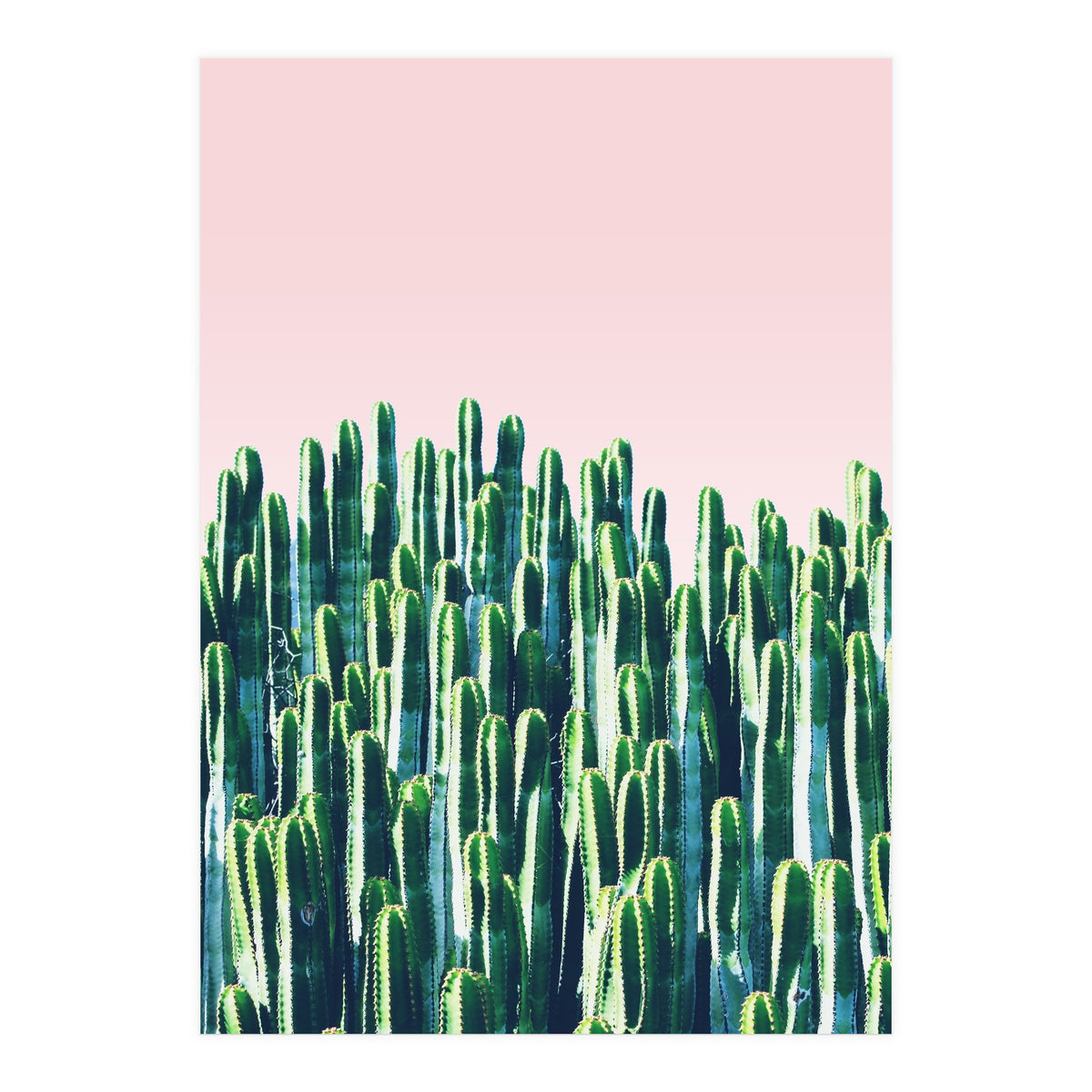 Cactus & Sunset II (Print Only)