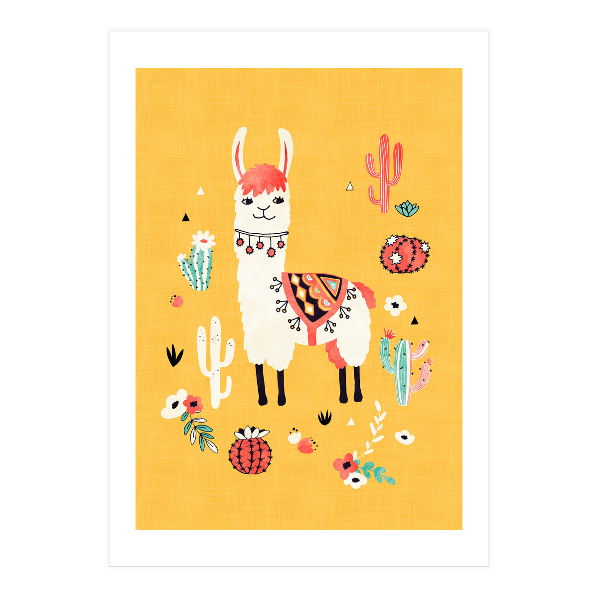 Llama (Print Only)