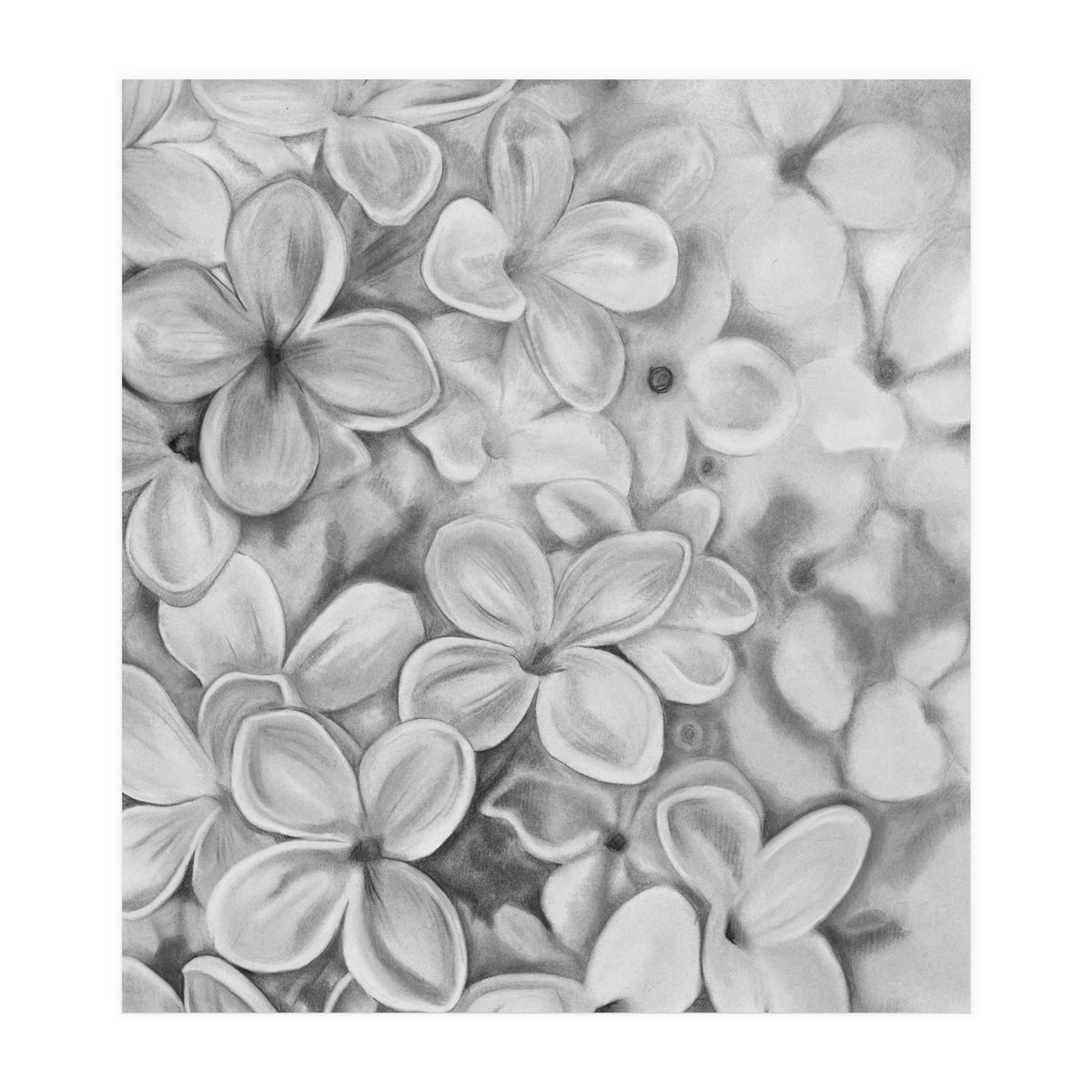 The Essence Of Spring in Monochrome (Print Only)