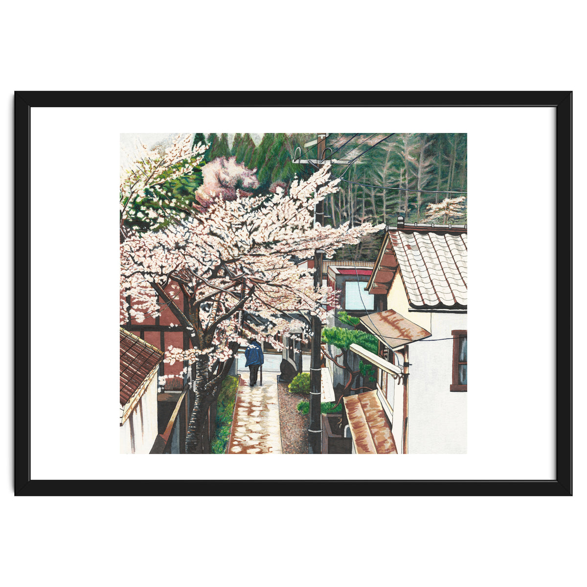 Passing by Cherry Blossoms