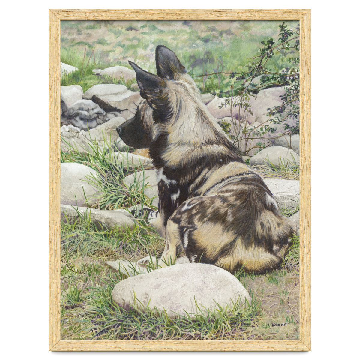 African Painted Dog I