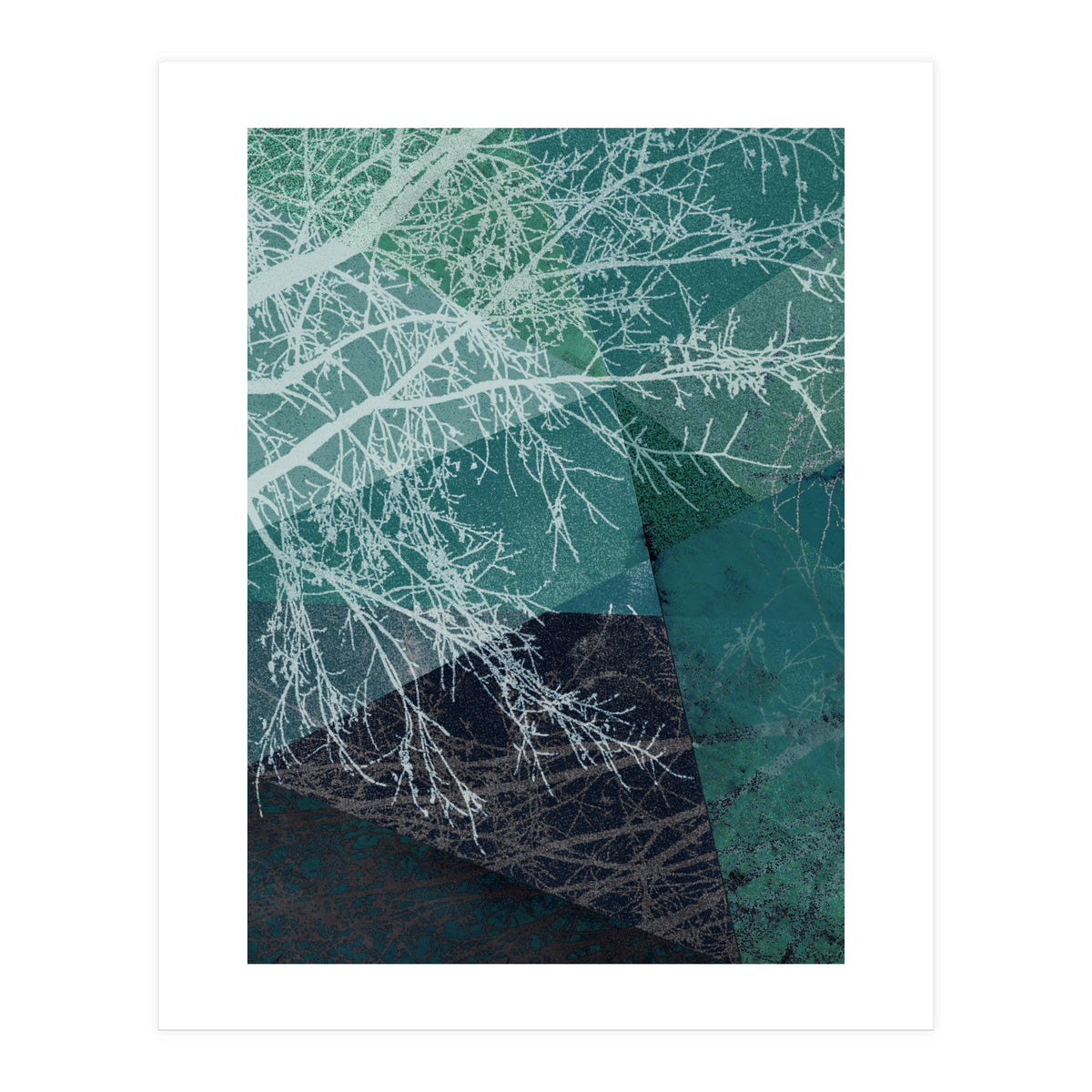 P19 E1 Trees And Triangles (Print Only)