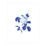 Blue Botanic I (Print Only) thumbnail
