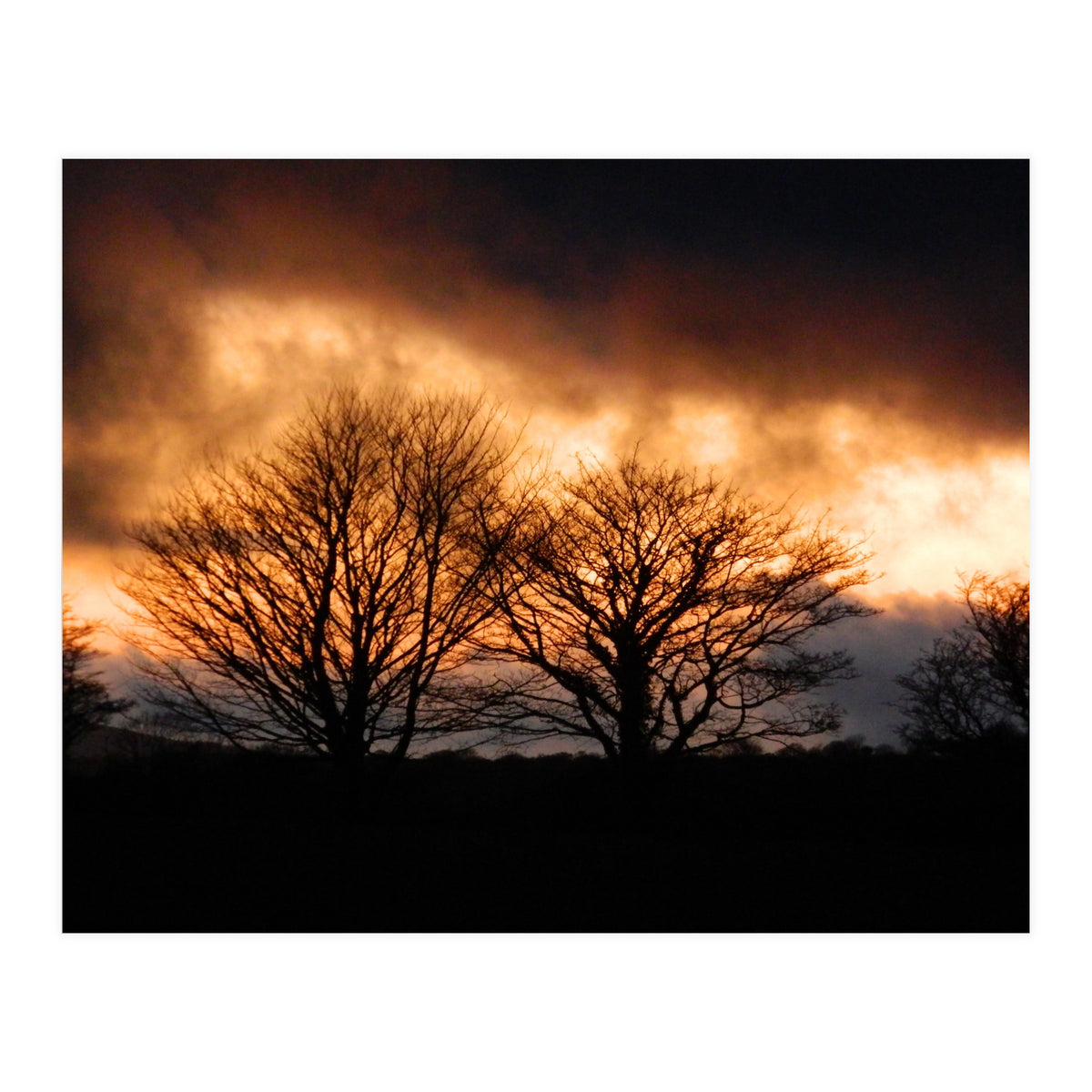 Spring Sunset (Print Only)