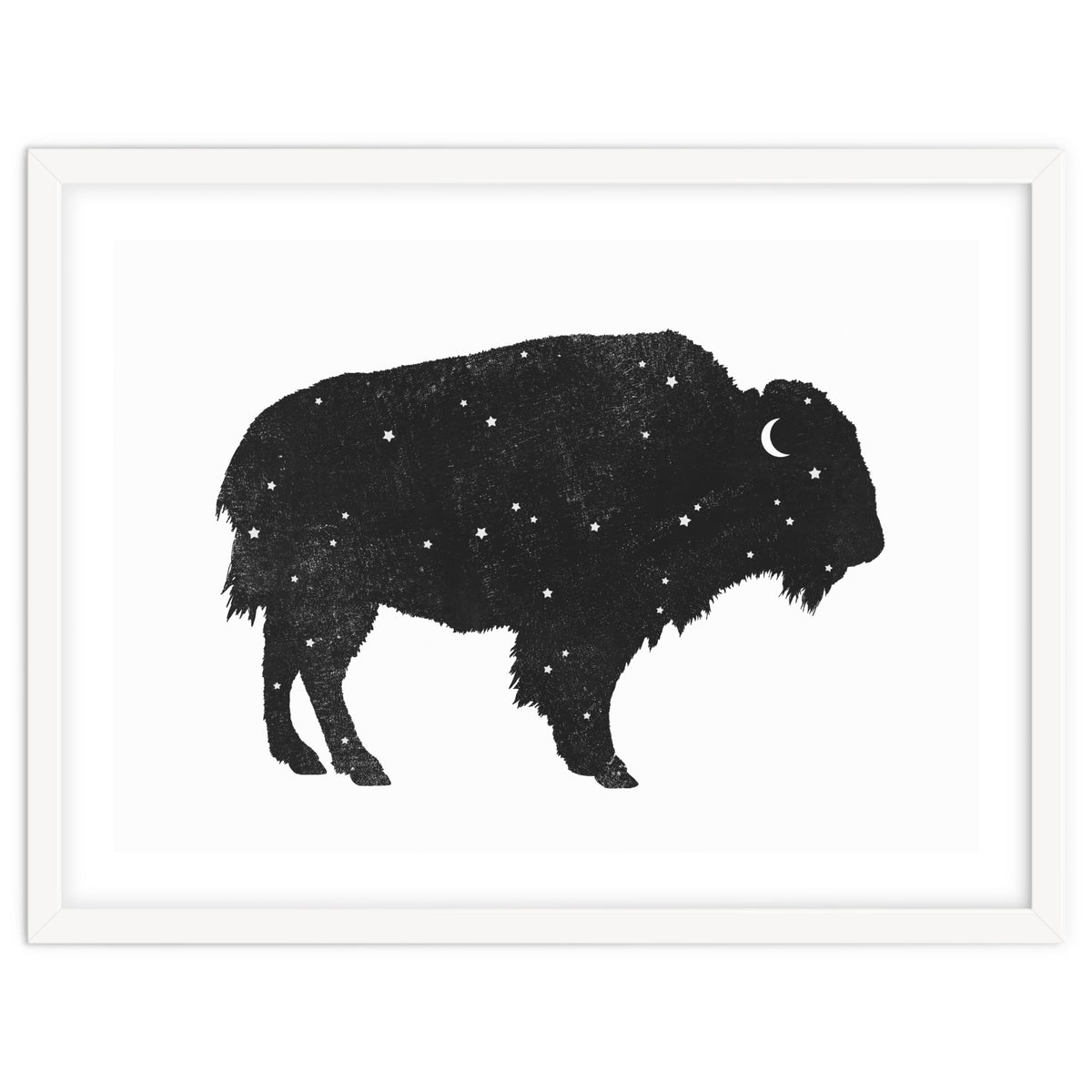 Mystic Buffalo