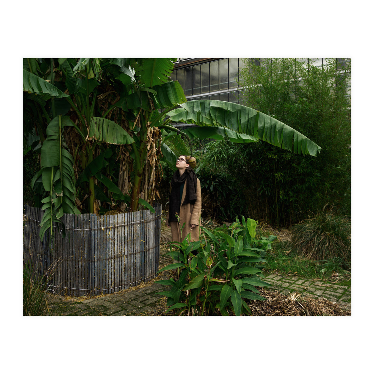 Transition from Summer to Winter (Print Only)